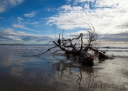 Moeraki