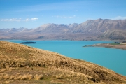 Lake Tekapo, Weg zum Mt. John