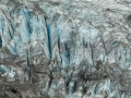 Fox Glacier, Valley Walk