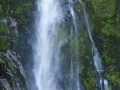 Milford Sound