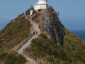 Nugget Point