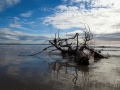 Moeraki