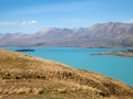 Lake Tekapo, Weg zum Mt. John