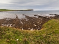 Brough of Birsay