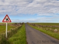 North Ronaldsay, Flughafen