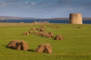 Martello Tower