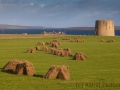 Martello Tower