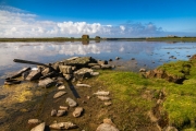 North Ronaldsay