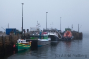 Stromness im Abendnebel