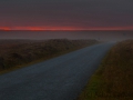 Sonnenuntergang im Nebel, Mainland