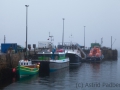 Stromness im Abendnebel