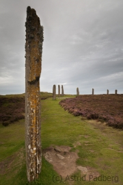 Ring Of Brodgar