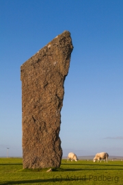 Stones of Stenness