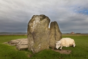 Stones of Stenness