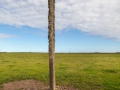 Standing Stone, North Ronaldsay