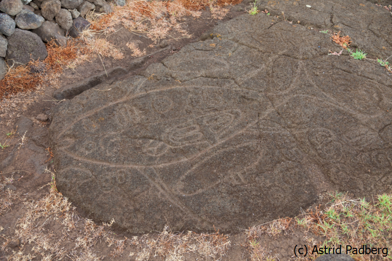 Nordküste, Petroglyphen