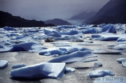 Glaciar Grey