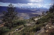 Parque Nacional Torres del Paine