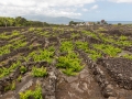 weinmuseum_20230607_A7231-HDR_web