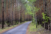 Renaturiertes Land, Welzow