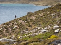 Küstenpfad, Port Stephens