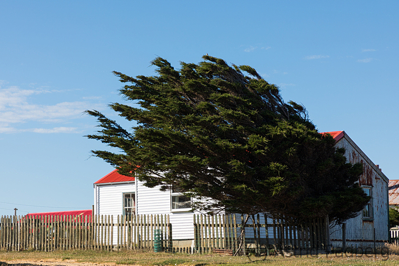 Port Stephens, Settlement