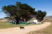 Port Stephens, Settlement