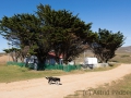 Port Stephens, Settlement