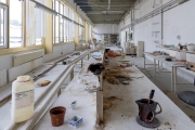 Porzellanwerk Annaburg, Werkstatt