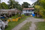 Virgin Coconut Oil Factory