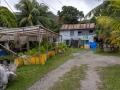 Virgin Coconut Oil Factory
