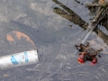 Der Fisch, die Krabbe und der Vodka