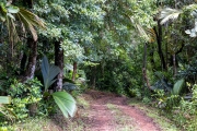 Weg zum Mont Plaisir