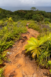 Weg zum Mont Plaisir