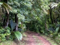 Weg zum Mont Plaisir