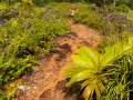 Weg zum Mont Plaisir