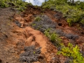Weg zum Mont Plaisir