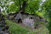 Hexenbaum (Linde) an der Lauenburg