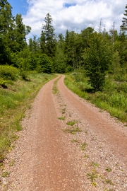 Burgenwanderung um Stecklenberg