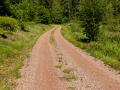 Burgenwanderung um Stecklenberg