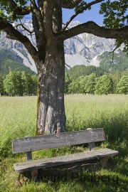 Panoramaweg Raumsau - Kulm