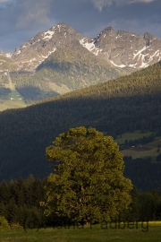 Rundweg um den Kulmberg