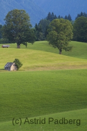 Rundweg um den Kulmberg