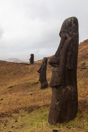 Rano Raraku