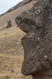 Rano Raraku