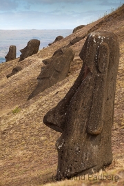 Rano Raraku