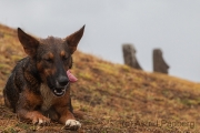 Rano Raraku