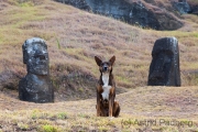 Rano Raraku