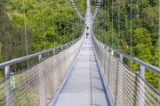 Rappbode-Talsperre und Hängebrücke