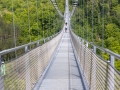 Rappbode-Talsperre und Hängebrücke